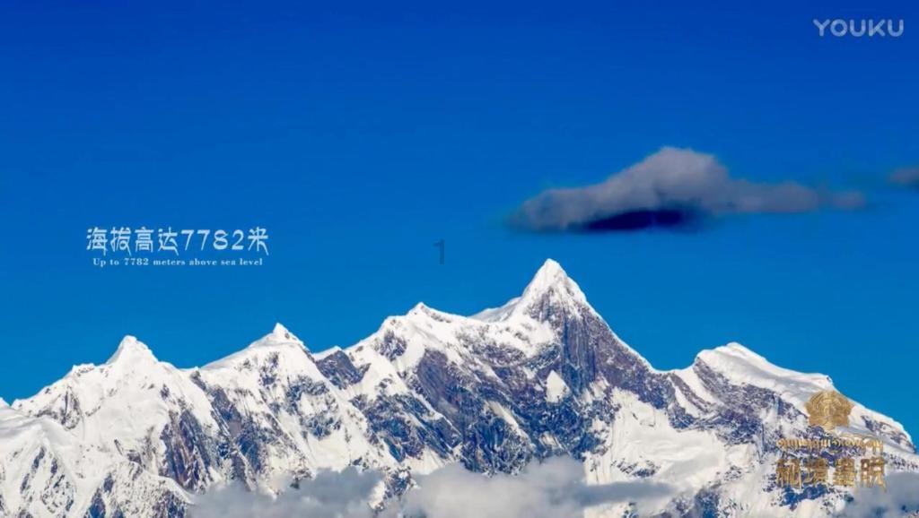 头发长10cm要多久-有问必答平台,精准解答疑问,在线获取专业建议